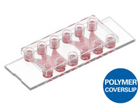 80231-120 µ-Slide Tissue Engineering Untreated, Bulk Box 120: #1.5 polymer coverslip, hydrophobic, sterilized, 8 per tray, 15 trays ( 120 pcs/pkg )